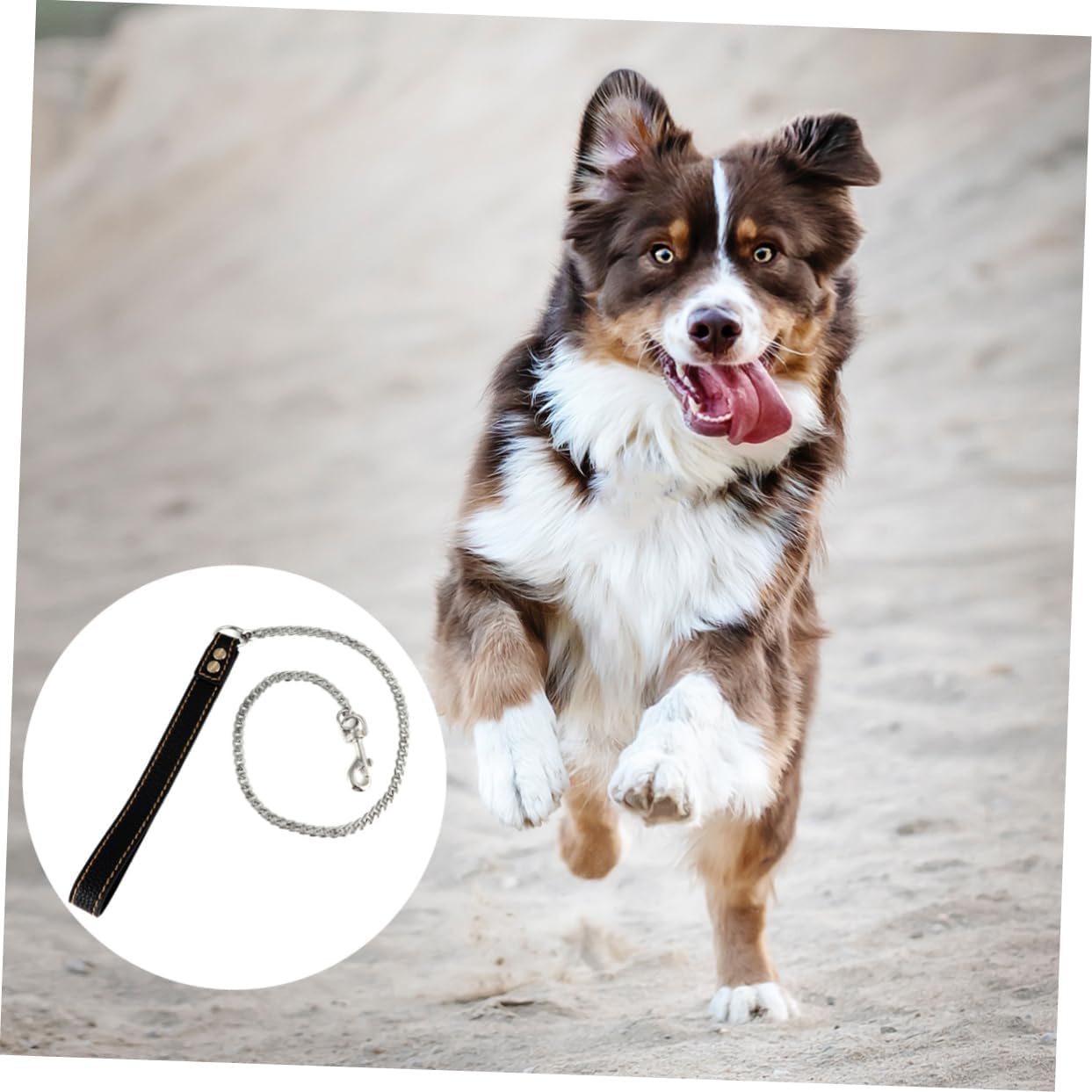 1Pc Stainless Steel Dog Leash Flat Chain Traction Rope for Pets Durable Comfortable Pet Hauling Cable for Walking and Training