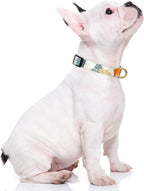 Dog Collar for Small Dogs, Cute Heavy Duty Adjustable Puppy Collar with Quick Release Buckle for Boy Girl & Female, Pet Accessories for Walking Running, S Length 3/4" Width, Abstract Leaves