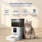 Automatic Cat Feeder, 4L Dry Food Dispenser with Voice Recorder, Up to 8 Meals per Day, Timed Feeder with Sea Ring (White)