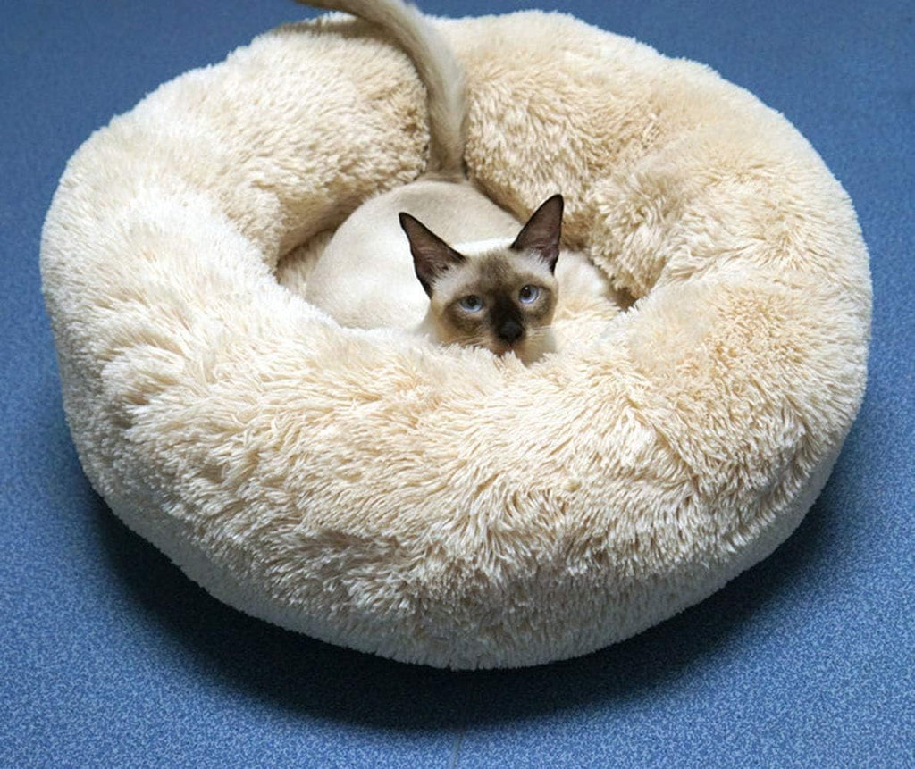 Modern Soft Plush Round Pet Bed for Cats or Small Dogs, Mini Medium Sized Dog Cat Bed Self Warming Autumn Winter Indoor Snooze Sleeping Cozy Kitty Teddy Kennel (20'' D x 8'' H, Champagne)