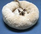 Modern Soft Plush Round Pet Bed for Cats or Small Dogs, Mini Medium Sized Dog Cat Bed Self Warming Autumn Winter Indoor Snooze Sleeping Cozy Kitty Teddy Kennel (20'' D x 8'' H, Champagne)