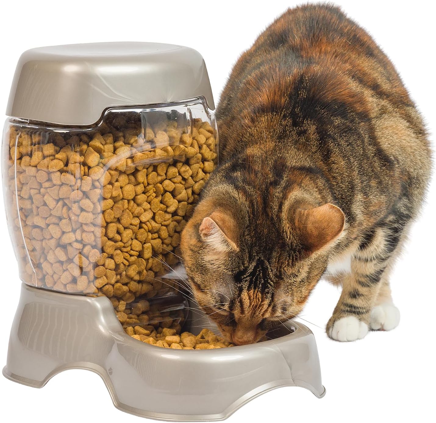 Pet Cafe Feeder Dog and Cat Feeder Pearlescent Colors 3 Sizes, Made in USA